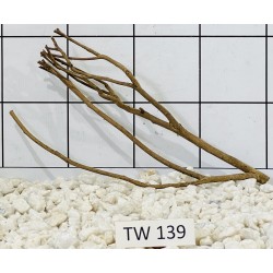 Talawawood 139