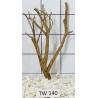 Talawawood 140