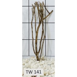 Talawawood 141
