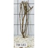 Talawawood 141