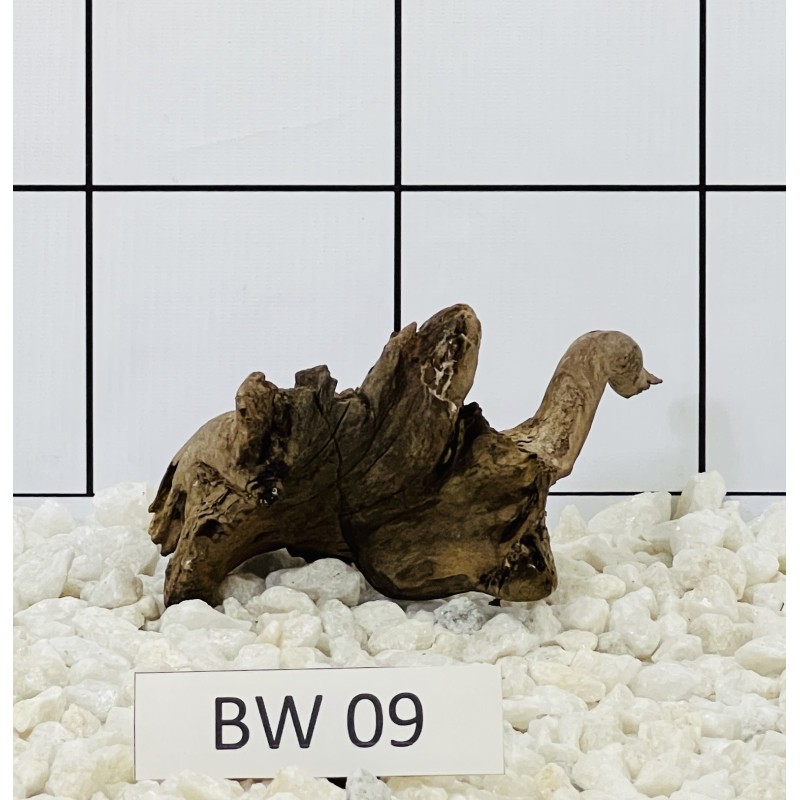 Bogwood 09