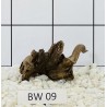 Bogwood 09