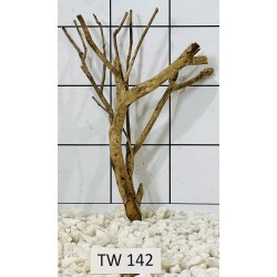 Talawawood 142