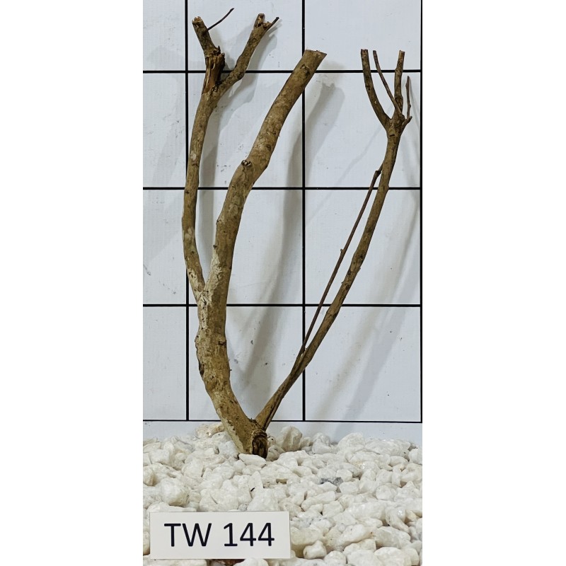 Talawawood 144