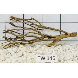Talawawood 146