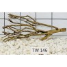 Talawawood 146