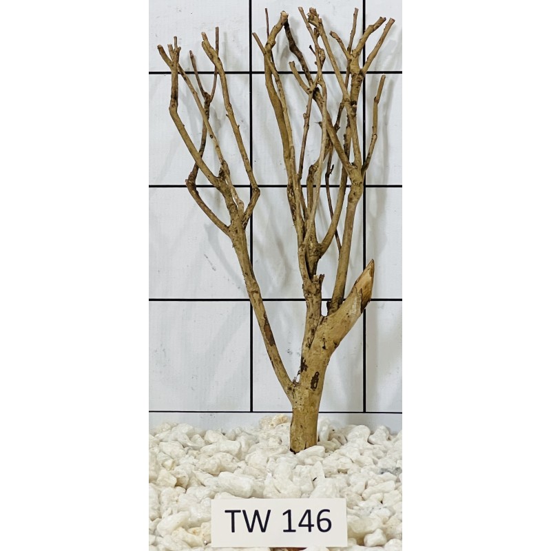 Talawawood 146