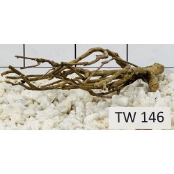 Talawawood 146