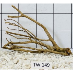 Talawawood 149