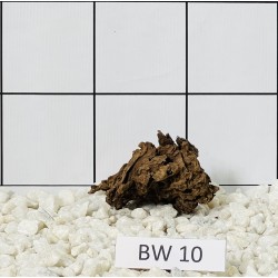 Bogwood 10