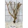 Talawawood 149