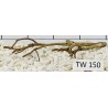 Talawawood 150
