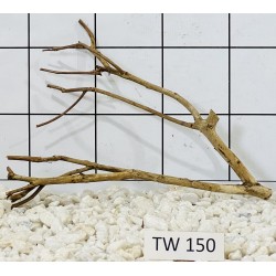 Talawawood 150