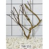 Talawawood 151