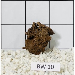 Bogwood 10