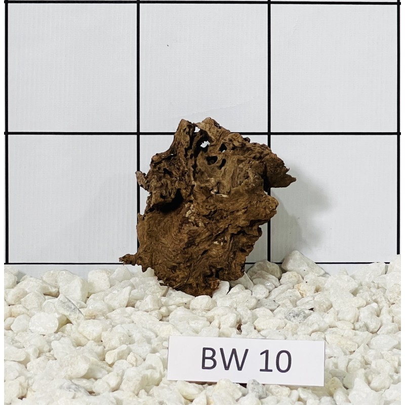 Bogwood 10