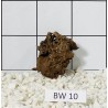 Bogwood 10