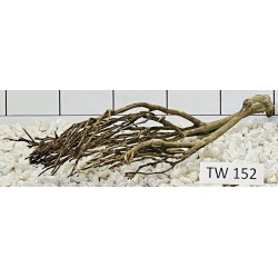Talawawood 152