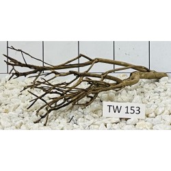 Talawawood 153