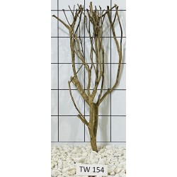 Talawawood 154