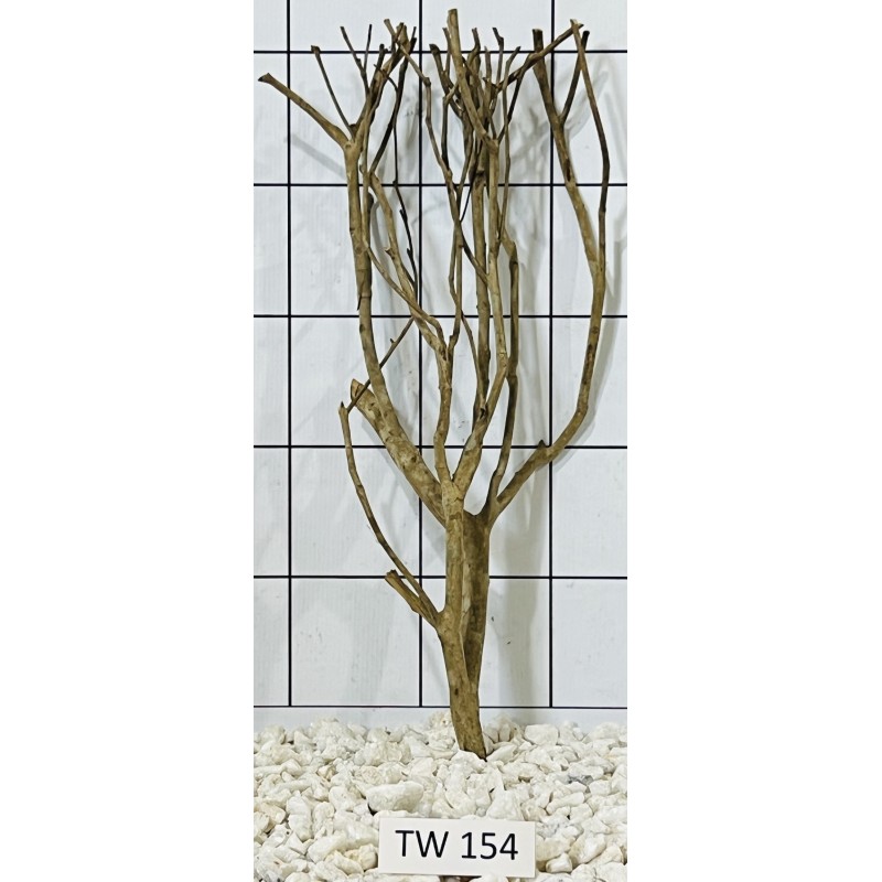 Talawawood 154