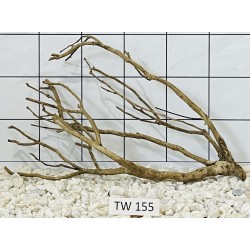 Talawawood 155