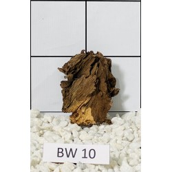 Bogwood 10