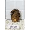 Bogwood 10
