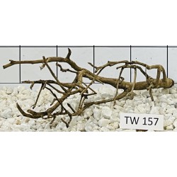 Talawawood 157