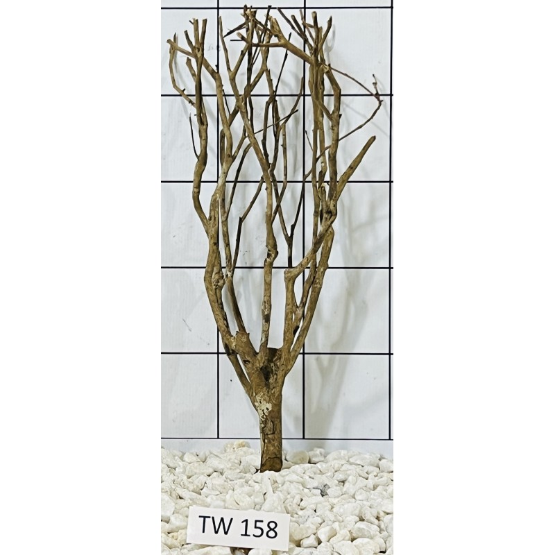 Talawawood 158