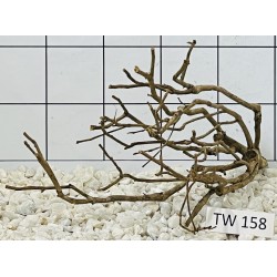 Talawawood 158