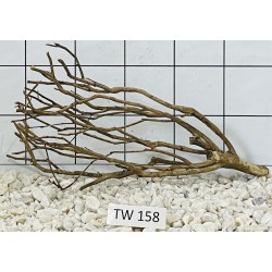 Talawawood 158