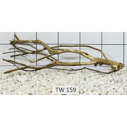 Talawawood 159