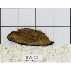 Bogwood 11