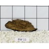 Bogwood 11