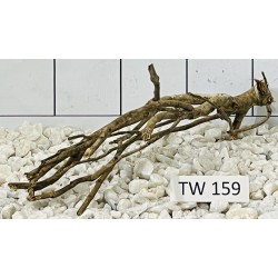 Talawawood 159