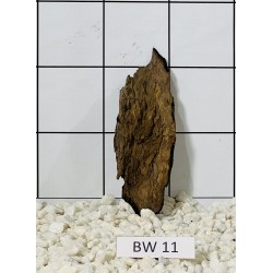 Bogwood 11