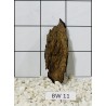 Bogwood 11