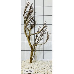 Talawawood 165