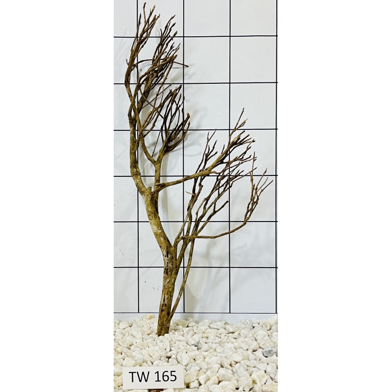 Talawawood 165
