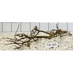 Talawawood 165