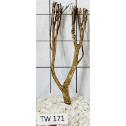 Talawawood 171