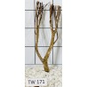 Talawawood 171