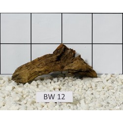 Bogwood 12