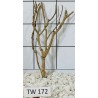 Talawawood 172