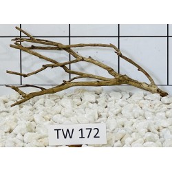 Talawawood 172