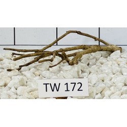 Talawawood 172