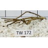 Talawawood 172