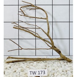 Talawawood 173