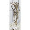 Talawawood 174